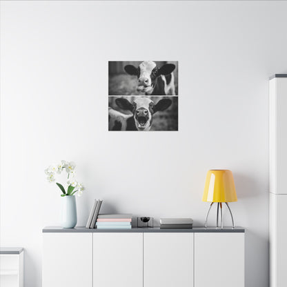 Whimsical Cow Photography | Black and White Animal Art