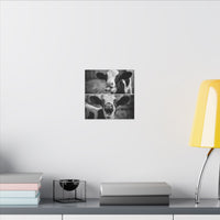 Whimsical Cow Photography | Black and White Animal Art