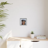 Whimsical Rottweiler Art - Denim Hat Dog Portrait