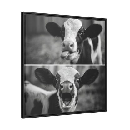 Whimsical Cow Photography | Black and White Animal Art