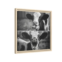 Whimsical Cow Photography | Black and White Animal Art