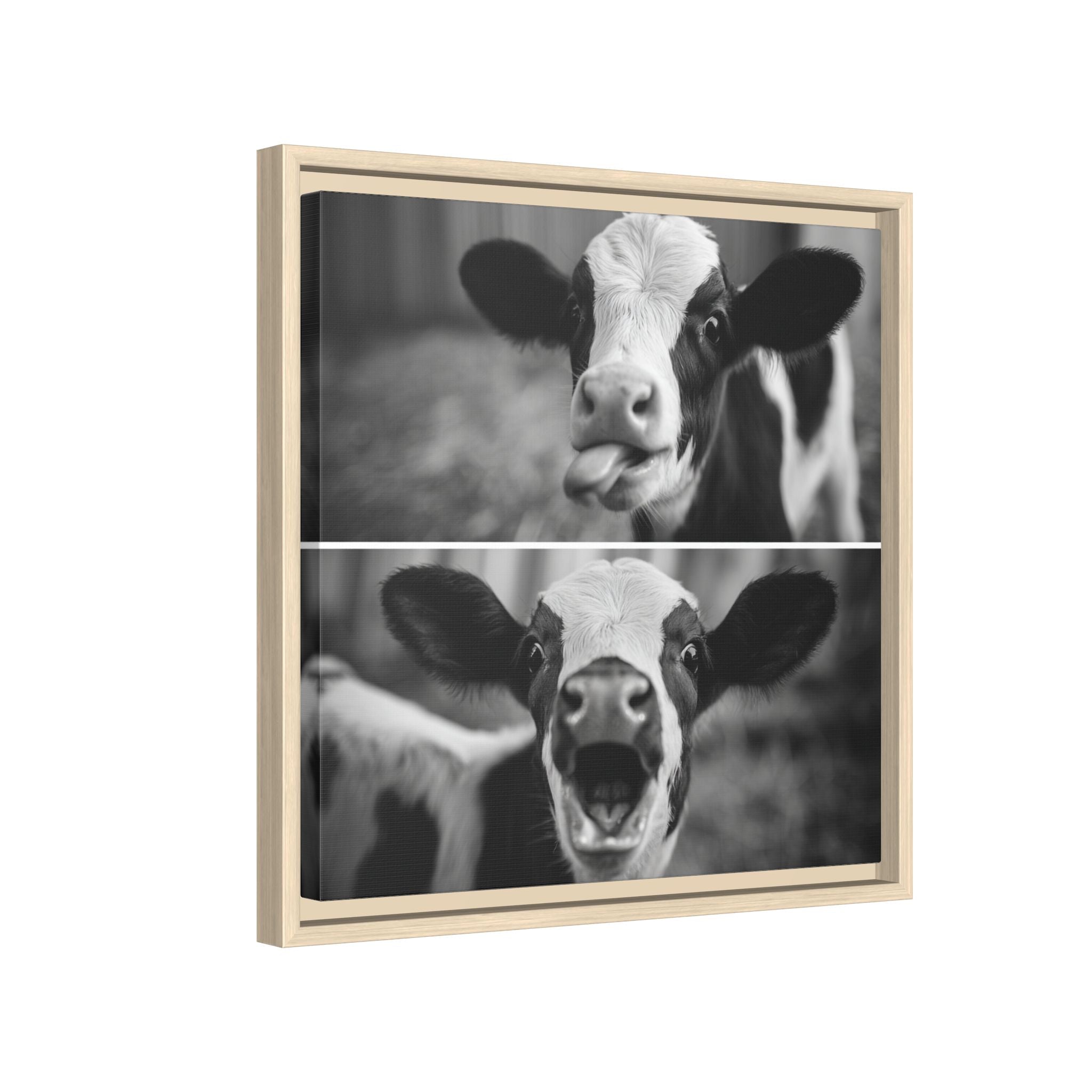 Whimsical Cow Photography | Black and White Animal Art
