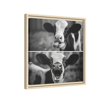 Whimsical Cow Photography | Black and White Animal Art