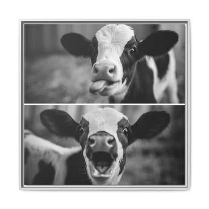 Whimsical Cow Photography | Black and White Animal Art