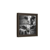Whimsical Cow Photography | Black and White Animal Art