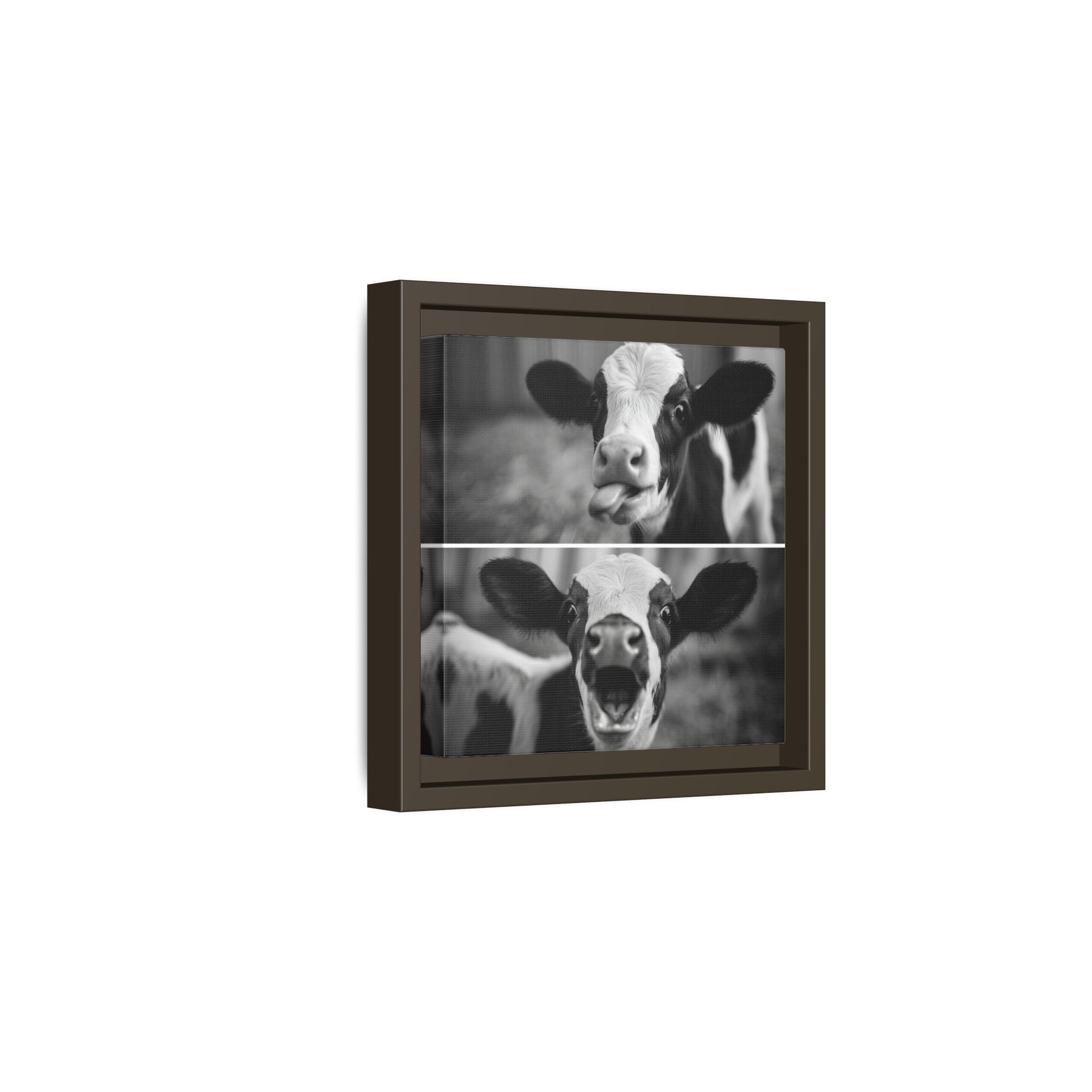 Whimsical Cow Photography | Black and White Animal Art