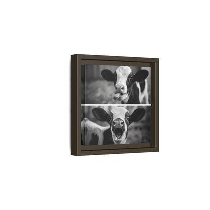 Whimsical Cow Photography | Black and White Animal Art