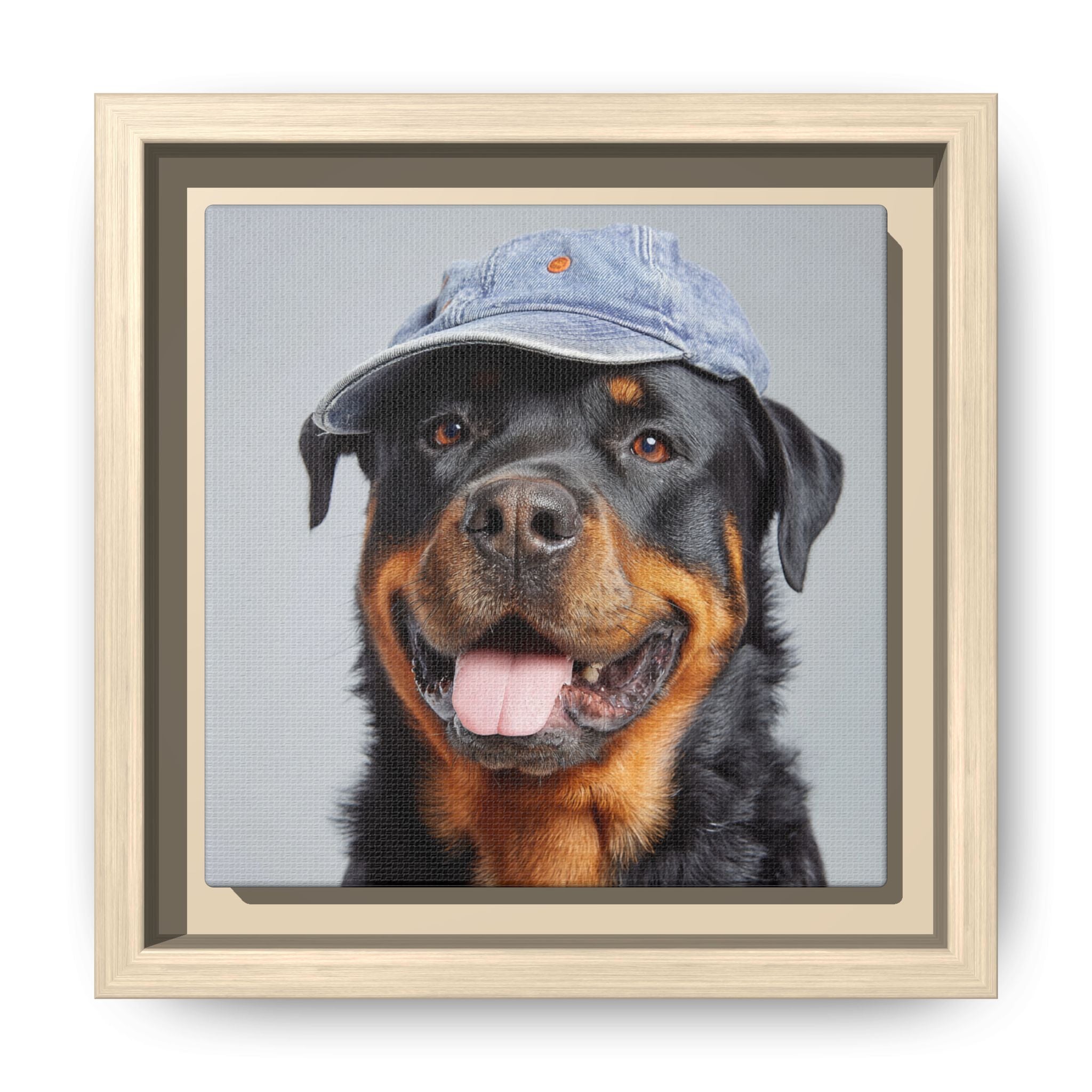 Whimsical Rottweiler Art - Denim Hat Dog Portrait