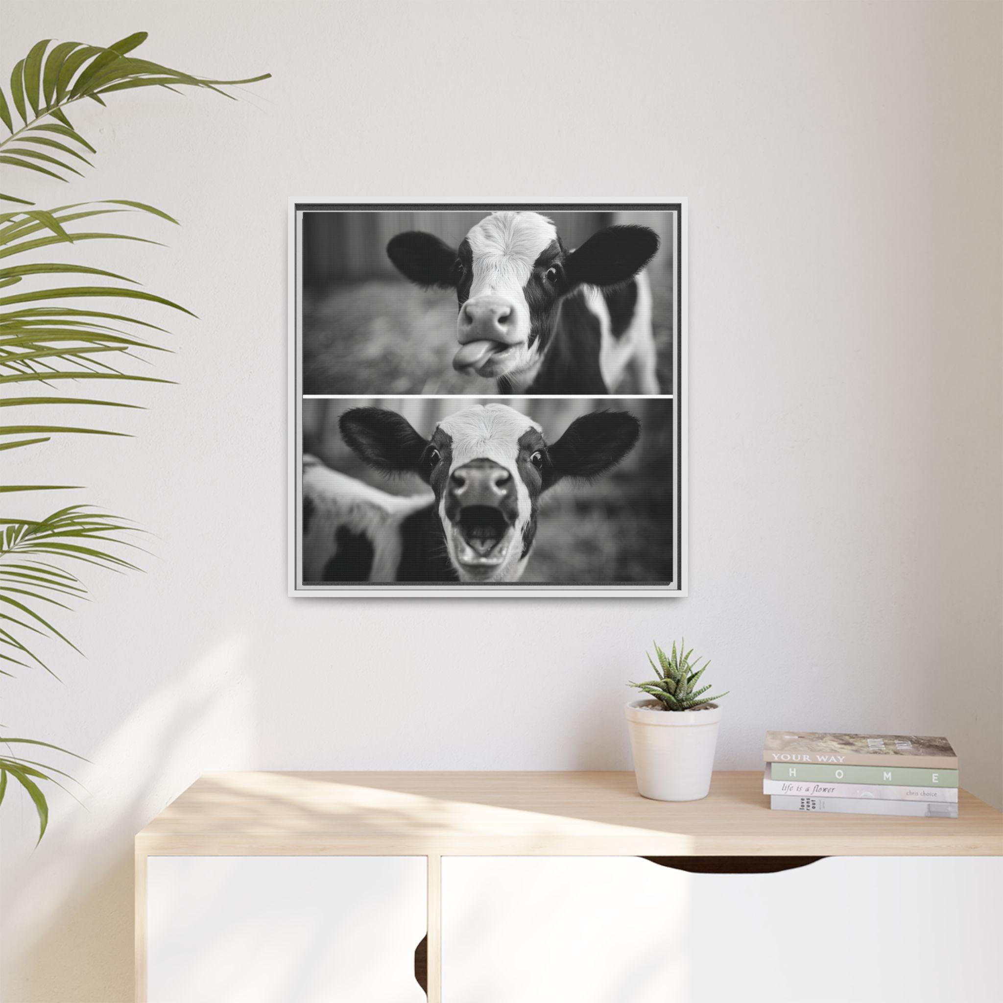 Whimsical Cow Photography | Black and White Animal Art