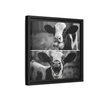 Whimsical Cow Photography | Black and White Animal Art