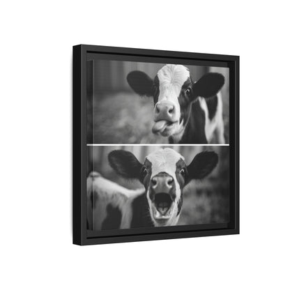 Whimsical Cow Photography | Black and White Animal Art