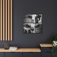 Whimsical Cow Photography | Black and White Animal Art
