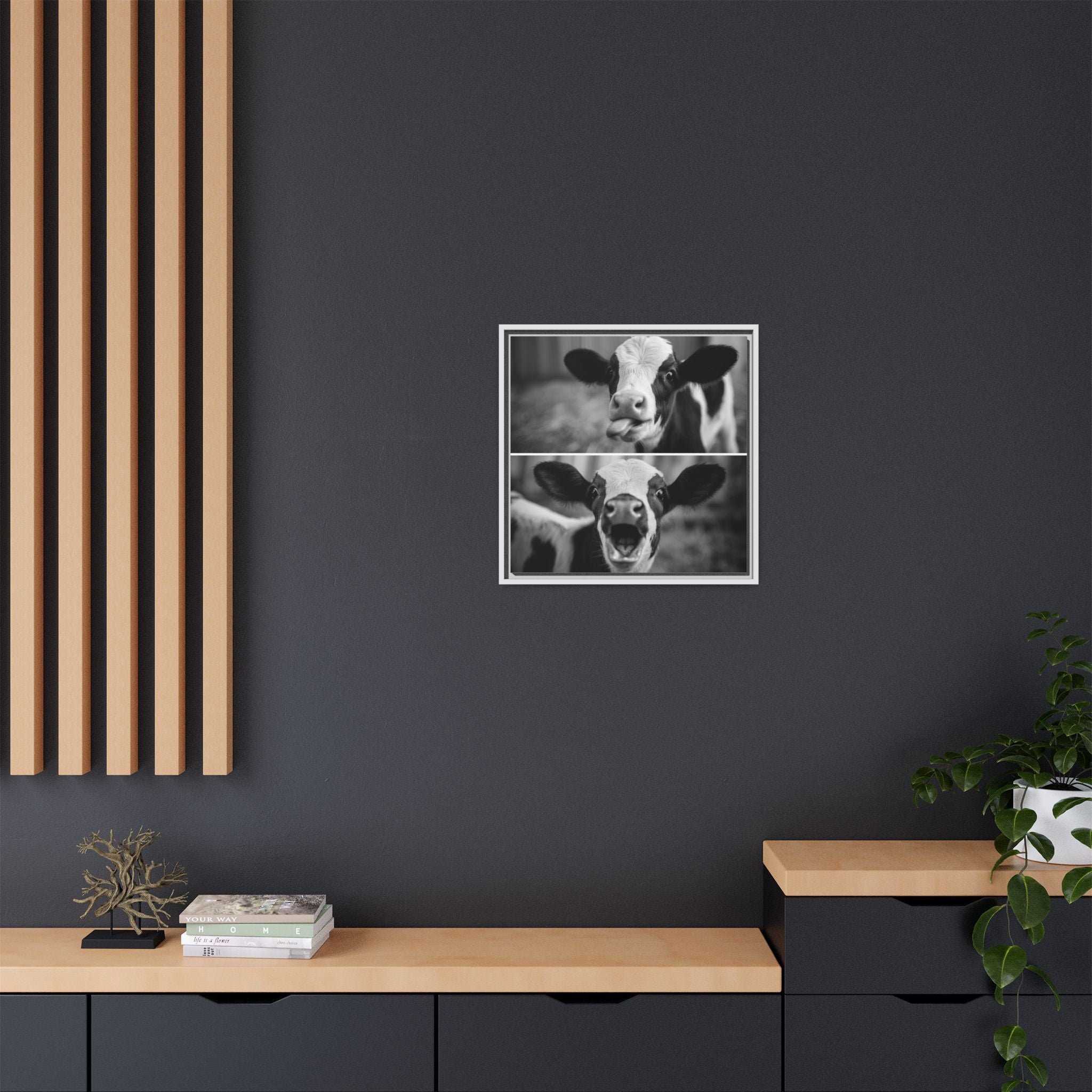 Whimsical Cow Photography | Black and White Animal Art