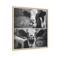 Whimsical Cow Photography | Black and White Animal Art