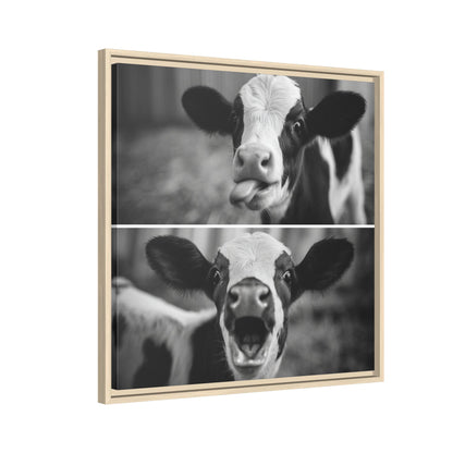 Whimsical Cow Photography | Black and White Animal Art
