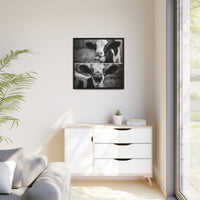 Whimsical Cow Photography | Black and White Animal Art
