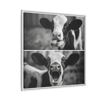 Whimsical Cow Photography | Black and White Animal Art