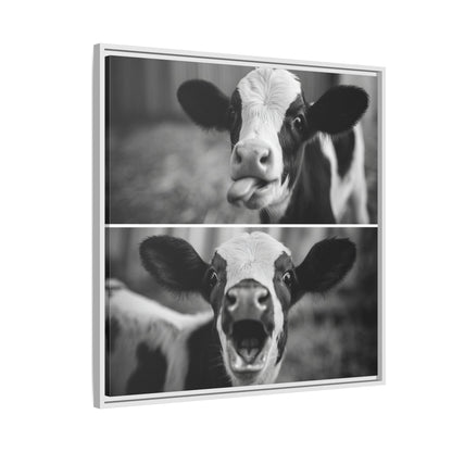 Whimsical Cow Photography | Black and White Animal Art