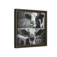 Whimsical Cow Photography | Black and White Animal Art