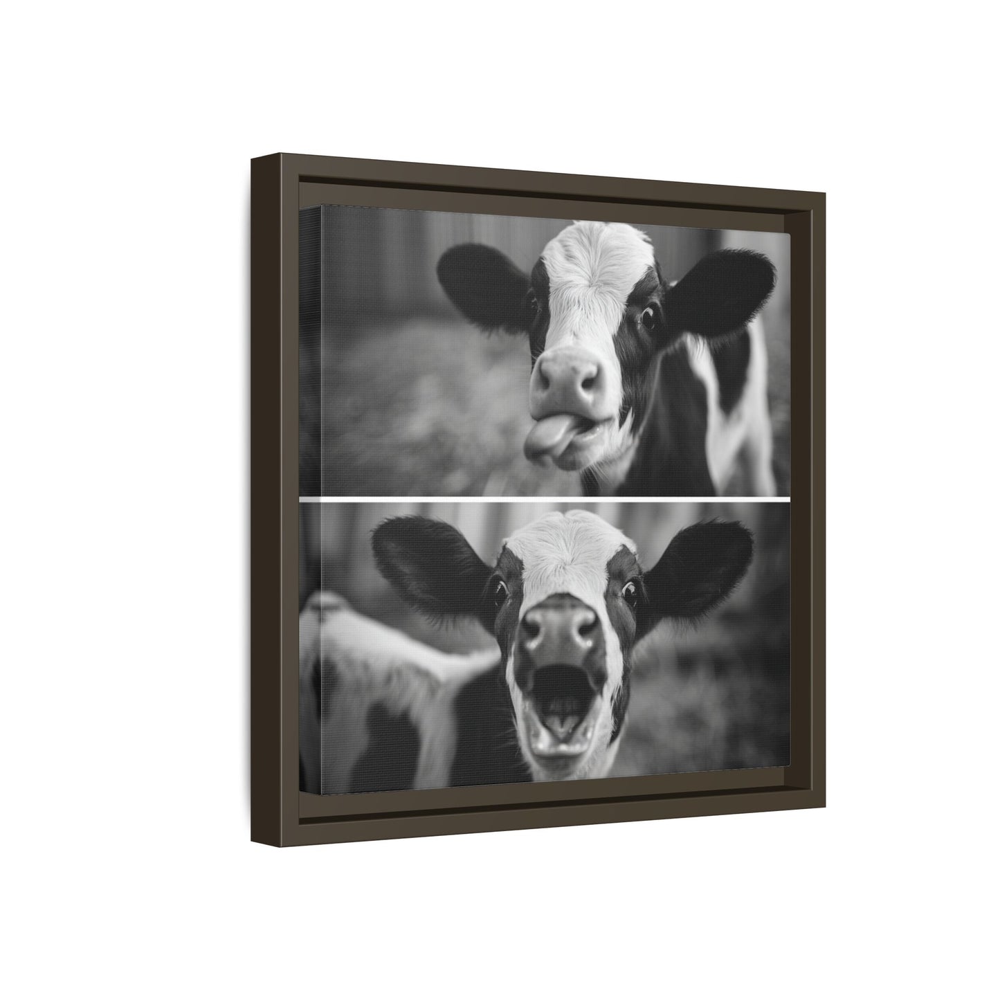 Whimsical Cow Photography | Black and White Animal Art