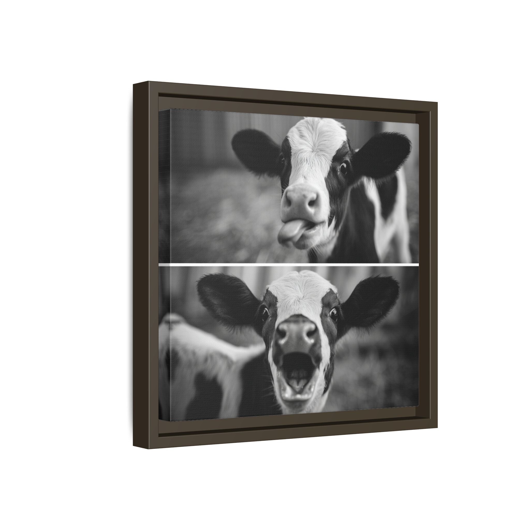Whimsical Cow Photography | Black and White Animal Art
