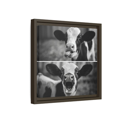 Whimsical Cow Photography | Black and White Animal Art