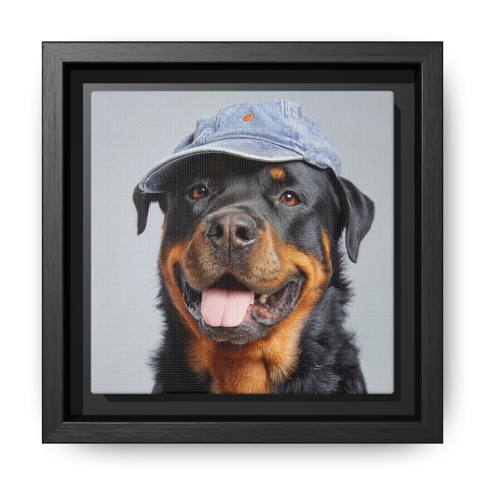 Whimsical Rottweiler Art - Denim Hat Dog Portrait