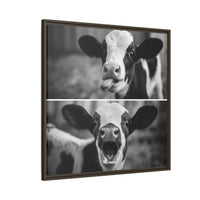 Whimsical Cow Photography | Black and White Animal Art