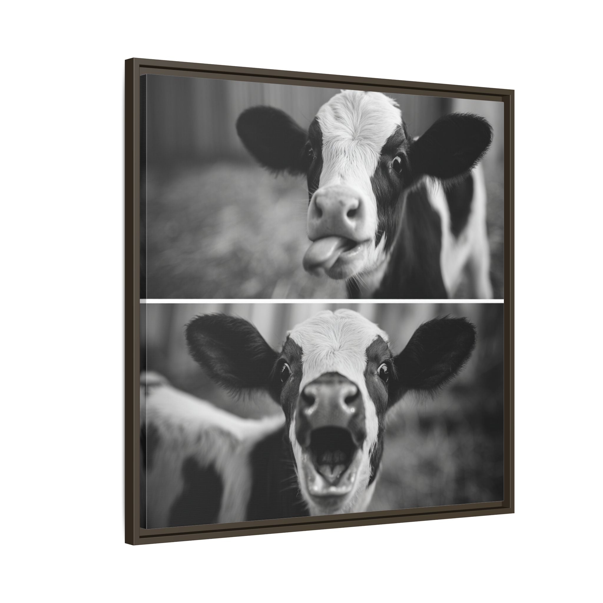 Whimsical Cow Photography | Black and White Animal Art