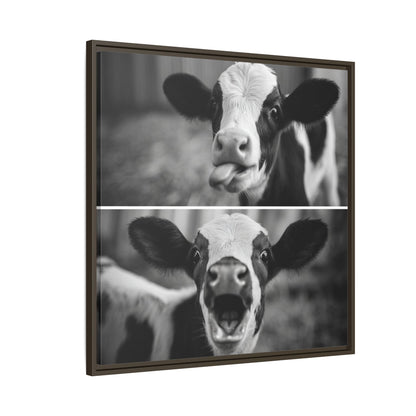 Whimsical Cow Photography | Black and White Animal Art