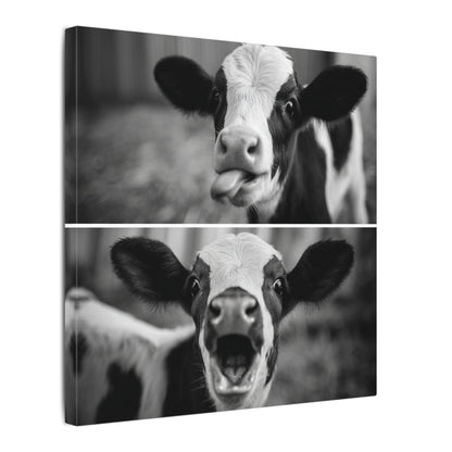Whimsical Cow Photography | Black and White Animal Art