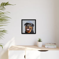 Whimsical Rottweiler Art - Denim Hat Dog Portrait