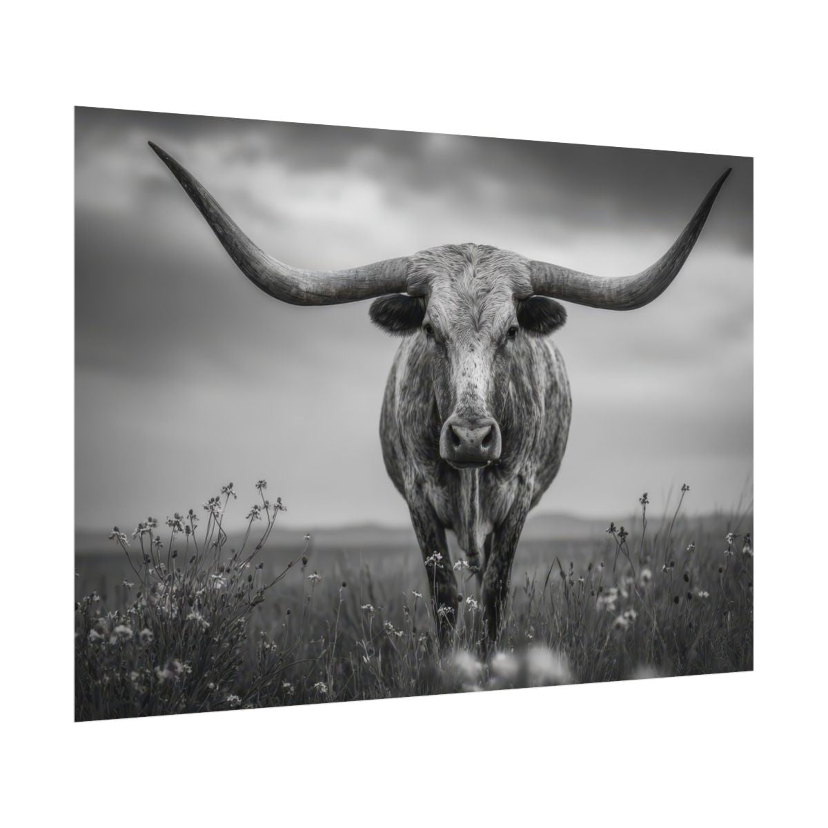 Longhorn Steer Canvas Print – fine art poster print