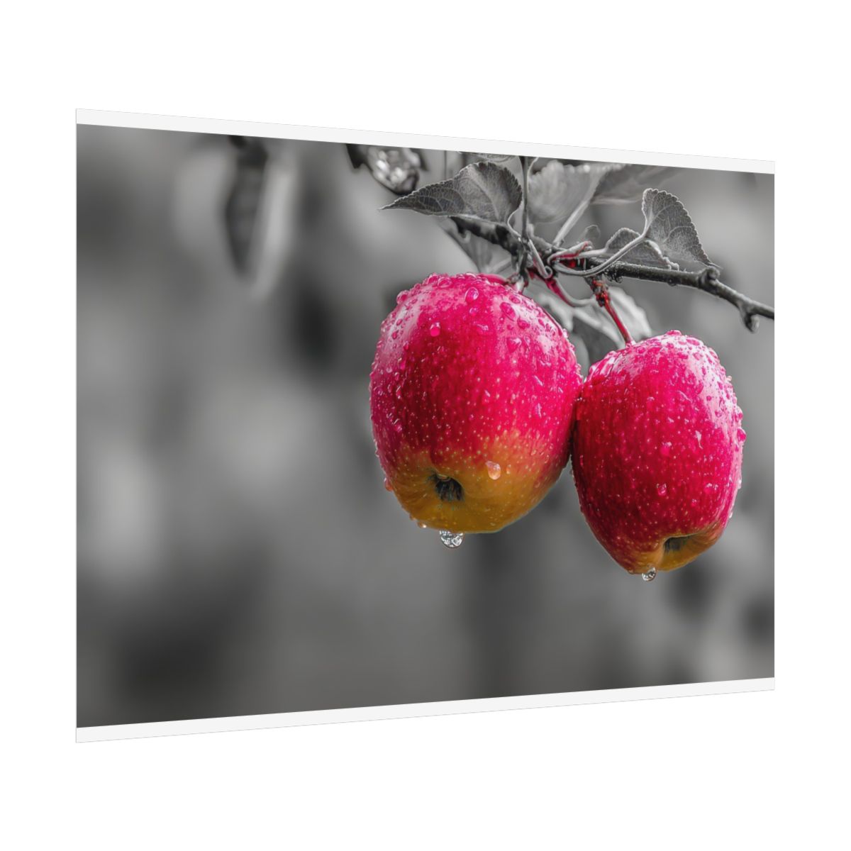 Red Apple Canvas Wall Art – fine art poster print