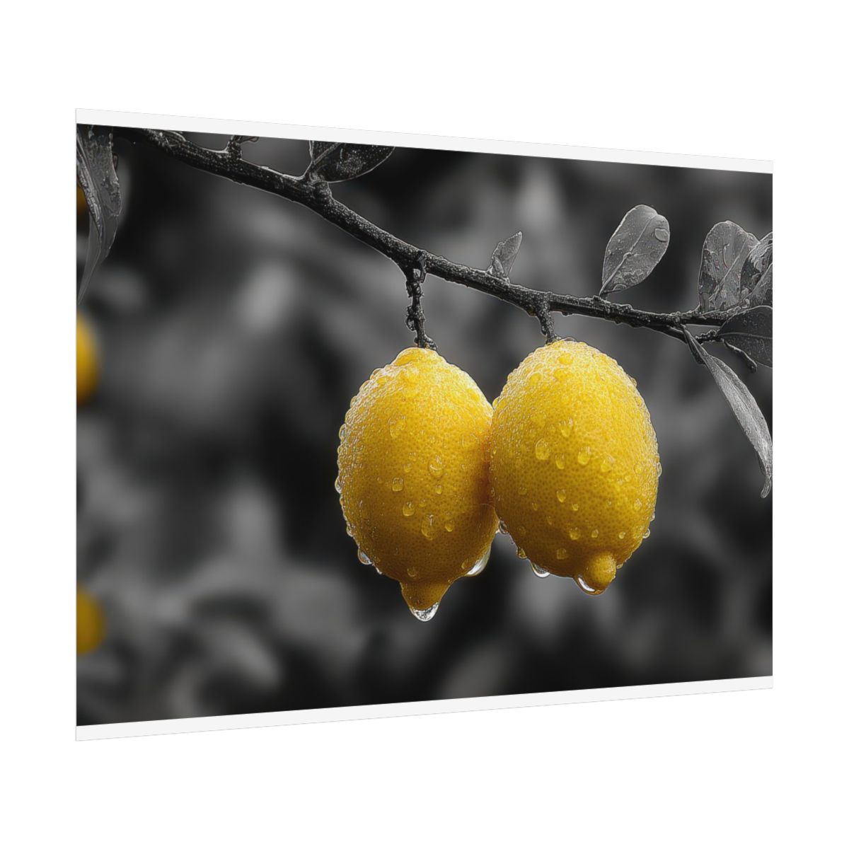 Yellow Lemons Canvas Art — product image 12