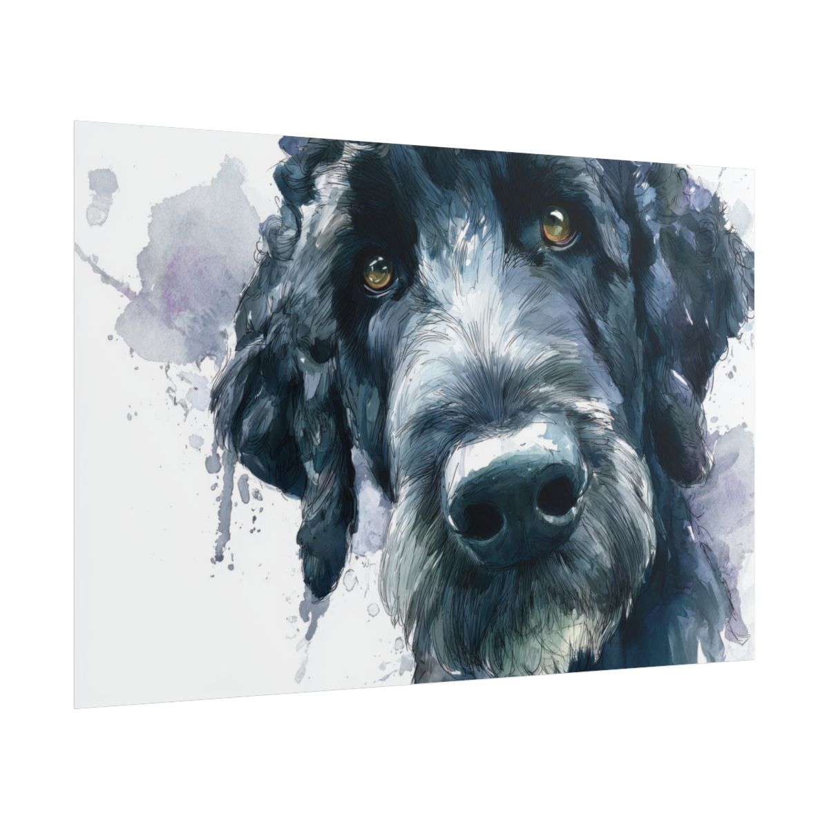 Portuguese Water Dog Canvas Print – fine art poster print