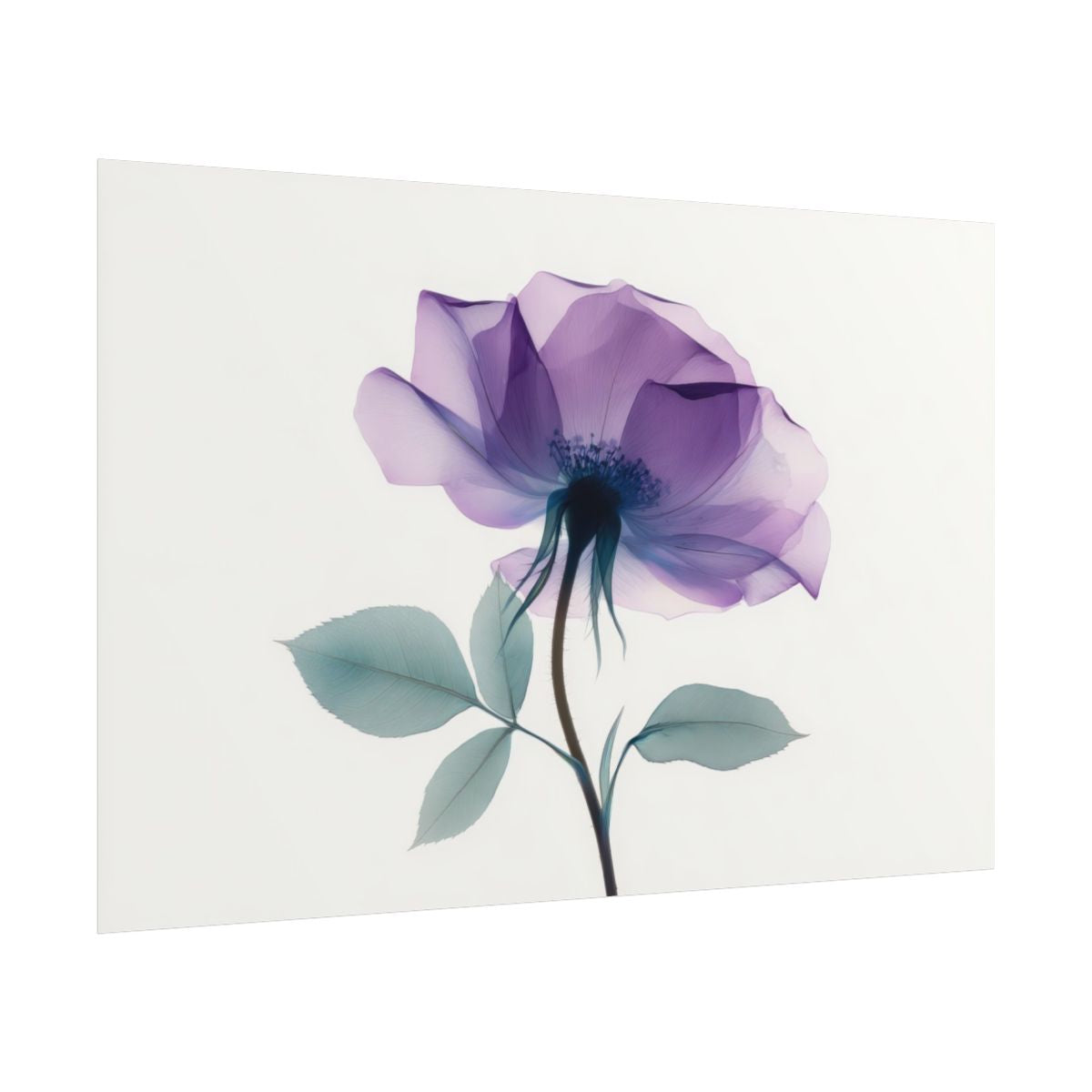 X-Ray Flower Canvas Print – fine art poster print