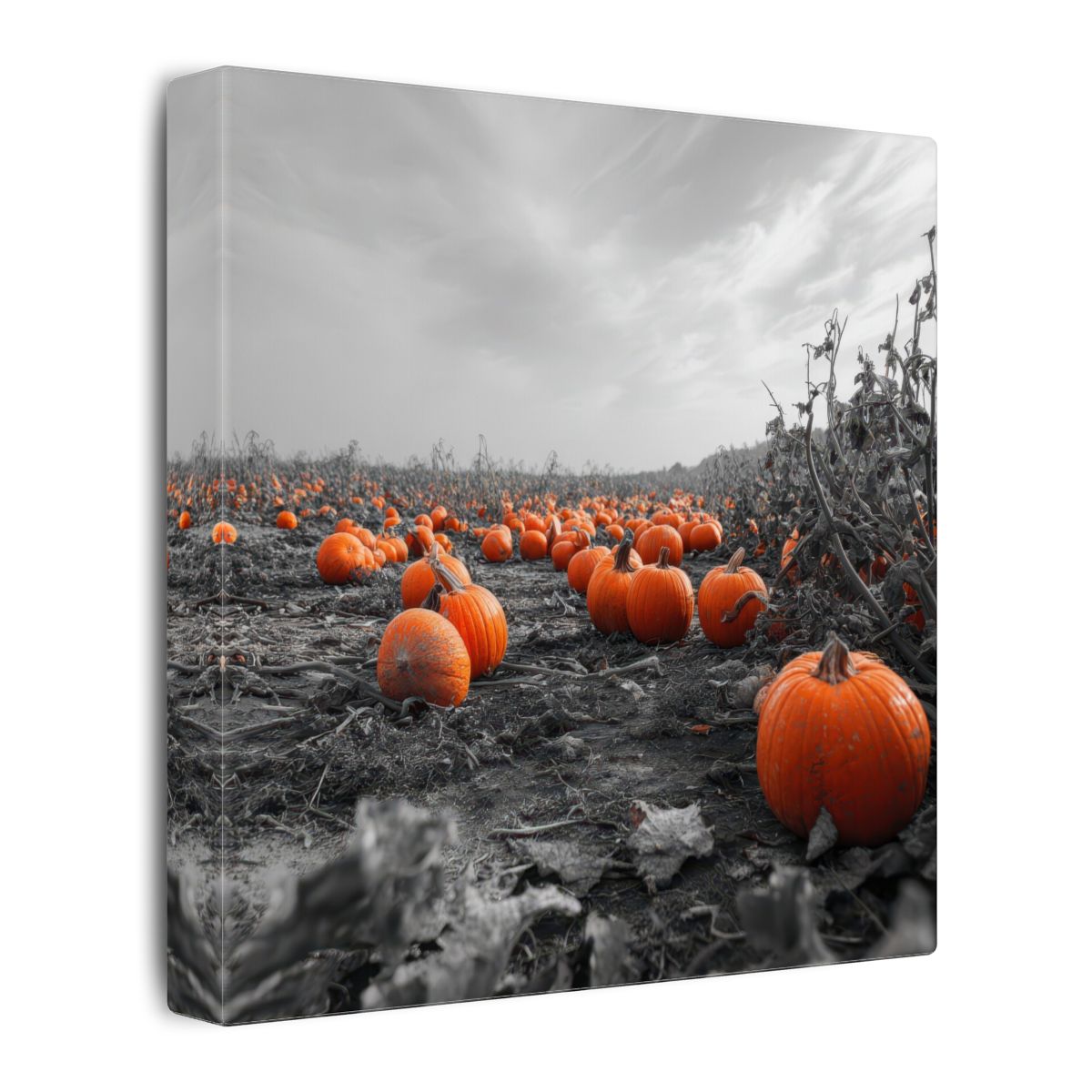 Autumn Pumpkin Field Wall Art – gallery wrapped canvas, side view