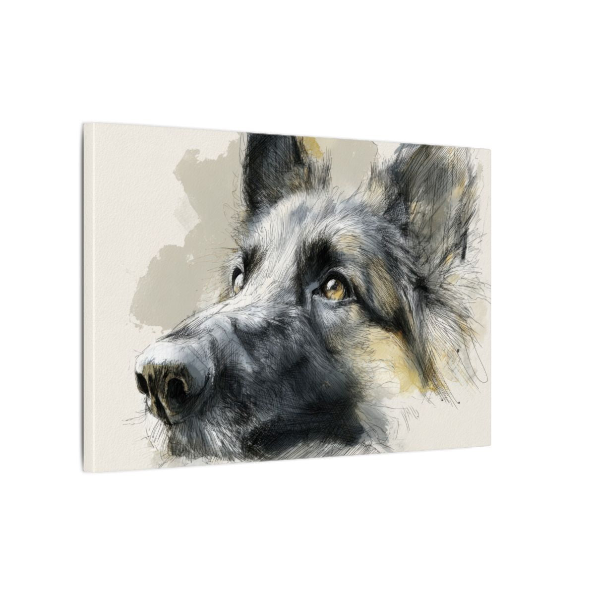 Belgian Shepherd Dog Portrait Canvas Art – gallery wrapped canvas, side view