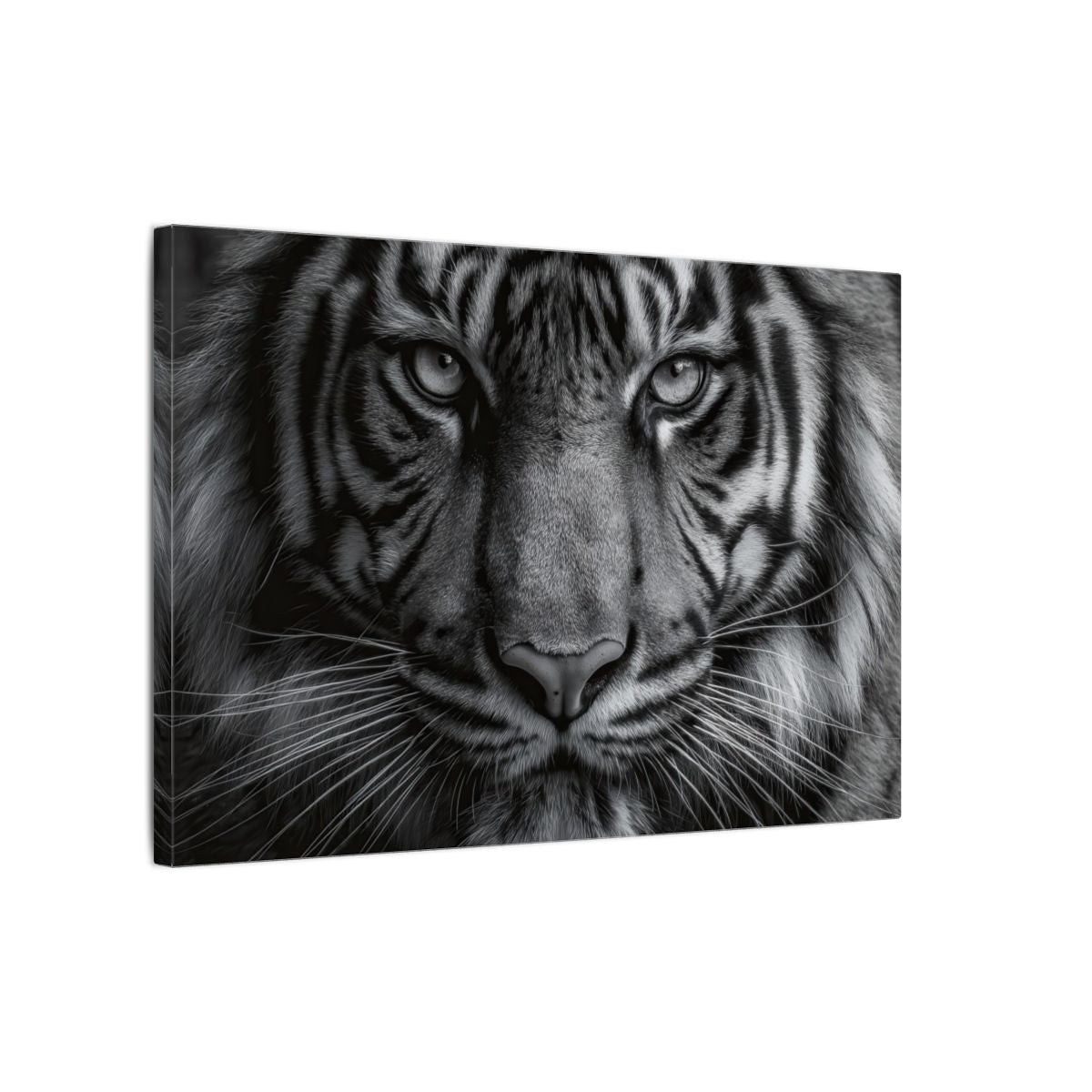 Bengal Tiger Portrait Canvas Art – gallery wrapped canvas, side view