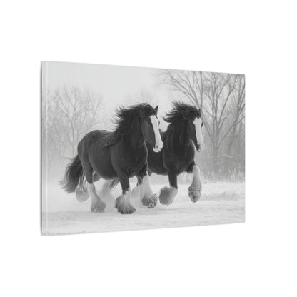 Draft Horse Canvas Print – gallery wrapped canvas, side view