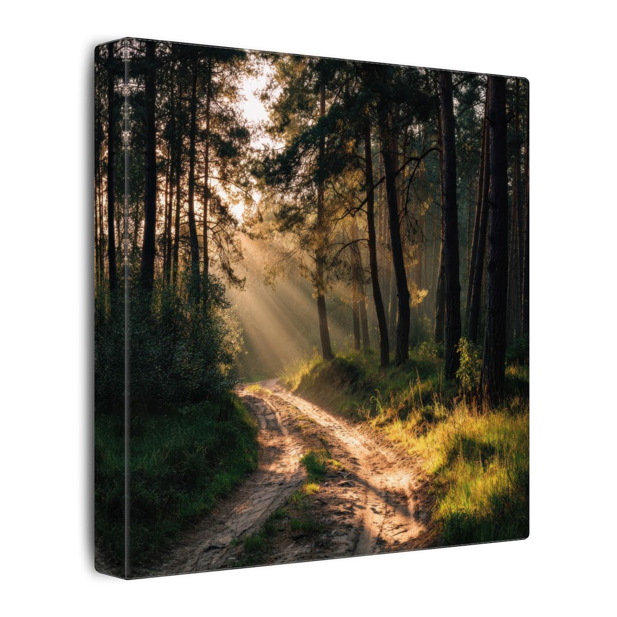 Forest Path Canvas Print – gallery wrapped canvas, side view