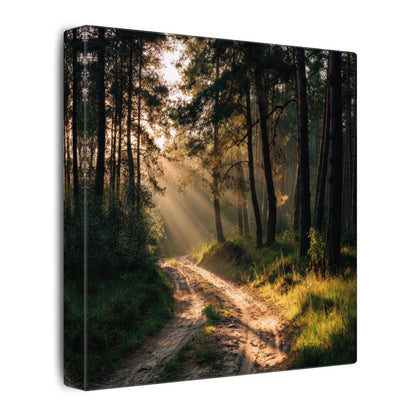 Forest Path Canvas Print – gallery wrapped canvas, side view