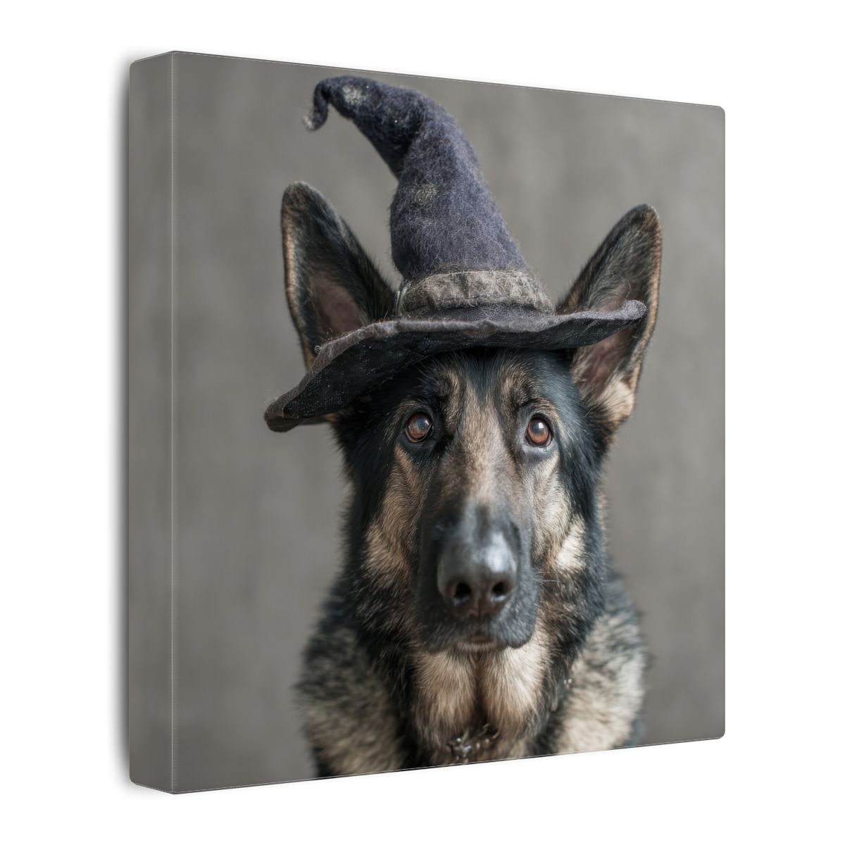 German Shepherd Dog Wizard Hat Canvas Wall Art Print – gallery wrapped canvas, side view