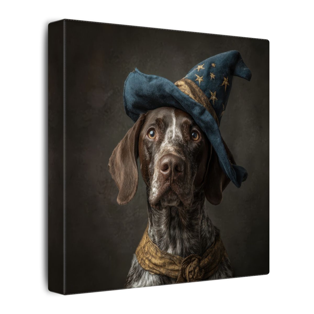 German Shorthaired Pointer Wizard Hat Canvas Wall Art Print – gallery wrapped canvas, side view