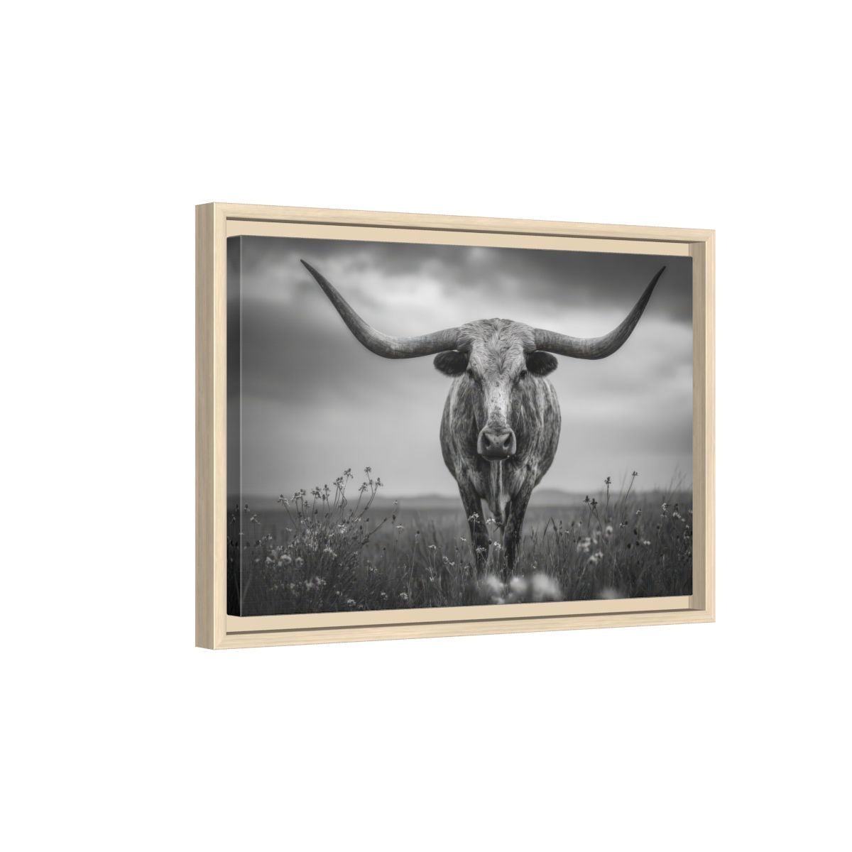 Longhorn Steer Canvas Print – natural wood framed canvas
