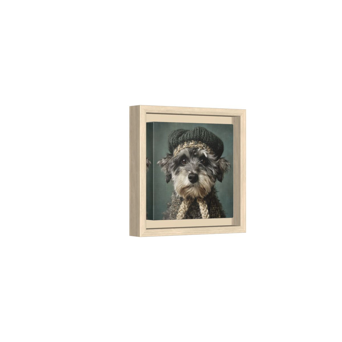 Schnoodle Dog Canvas Wall Art – natural wood framed canvas