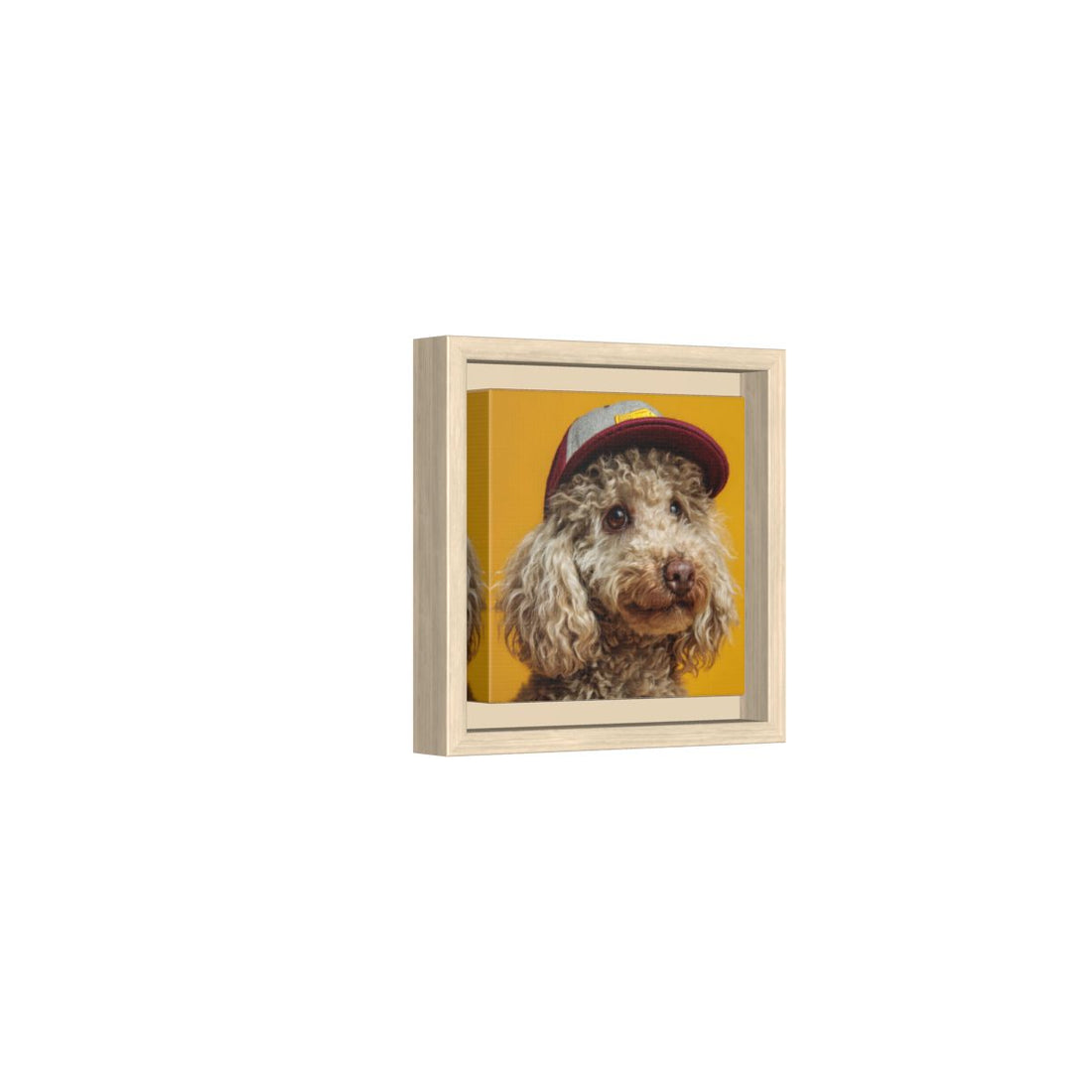 Poodle Baseball Cap Canvas Print – natural wood framed canvas