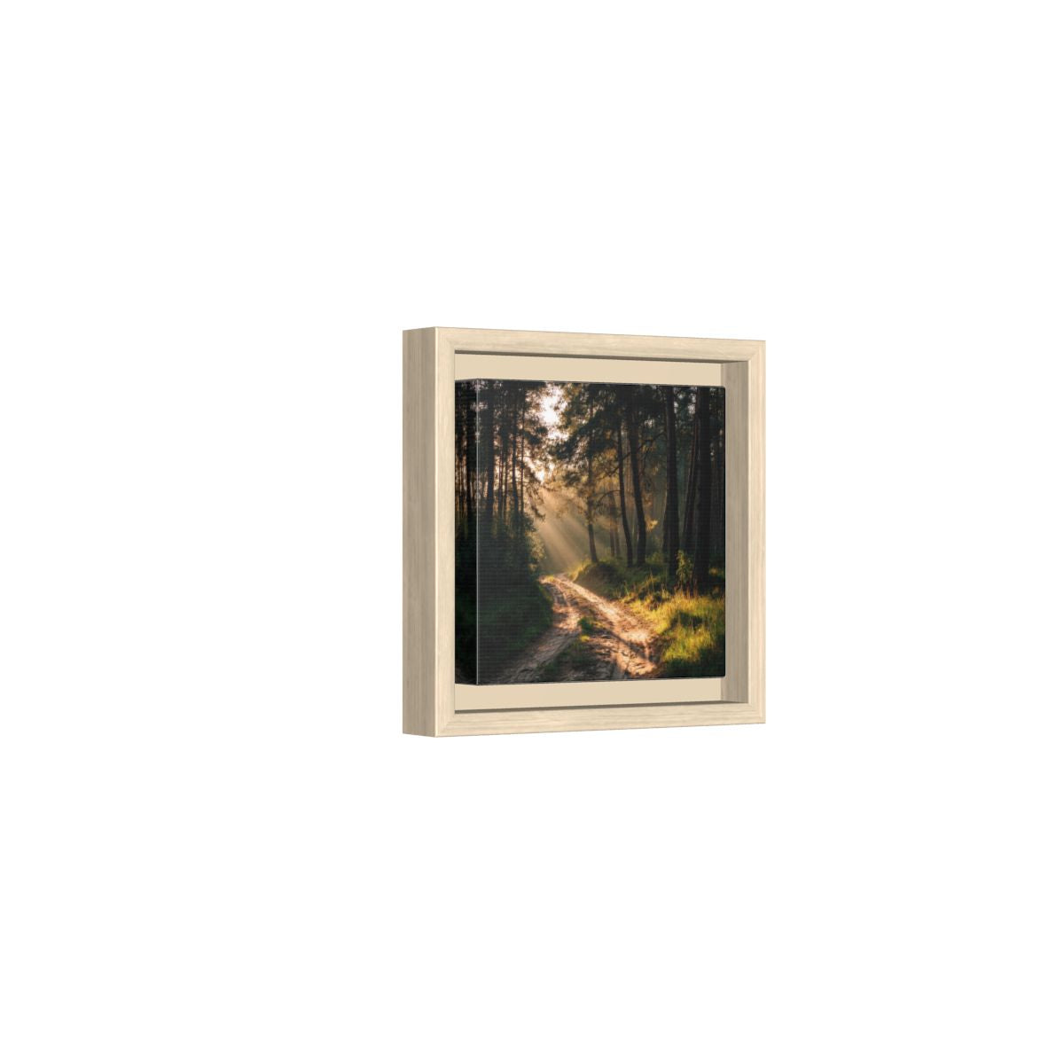 Forest Path Canvas Print – natural wood framed canvas