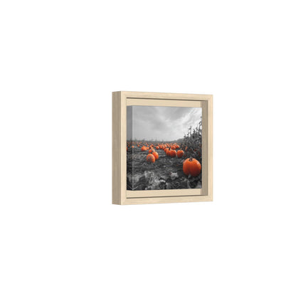 Autumn Pumpkin Field Wall Art – natural wood framed canvas